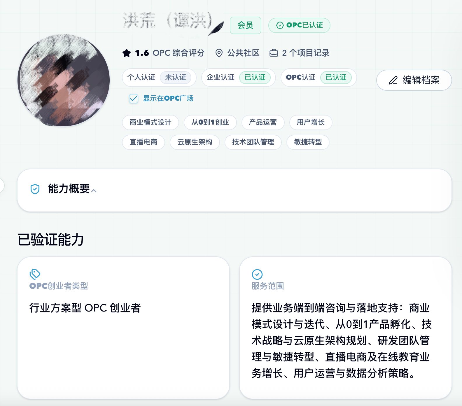 能力档案